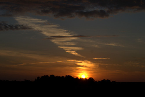 DSC 0012.jpg