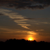 DSC 0012