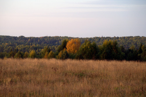 DSC 0005.jpg