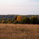 DSC 0005