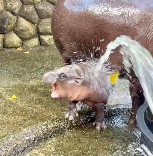 rK9DfWHwAQSzw5ypwSWtxX Ka6MbDkvSlZrBqIiEsHMCYTyqtA6idvgFSbWs7aGrqnQPQk1IuJT4JSvnk8 8VsuwtwLpkwUTlTY2.jpg