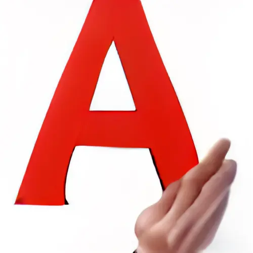 9297758068819619279732186894496.webp