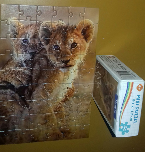 20240908 095918 1.jpg