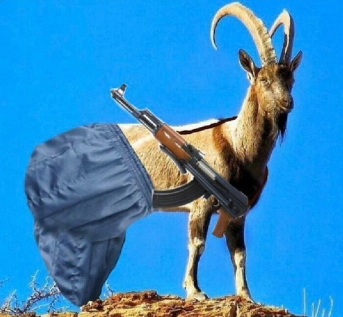 GXLnBfQXkAAQXDD?format=jpg.jpg