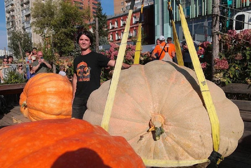 pdZ3YTRRb2UFmL6M9vhciY1PAP2gIUJOeBX4ZqbOv5RKjI2vepXQXVzfrwNPhdsqJPIwU11xhTURtwL03 R6bj7xysm AZe pPWU.jpg