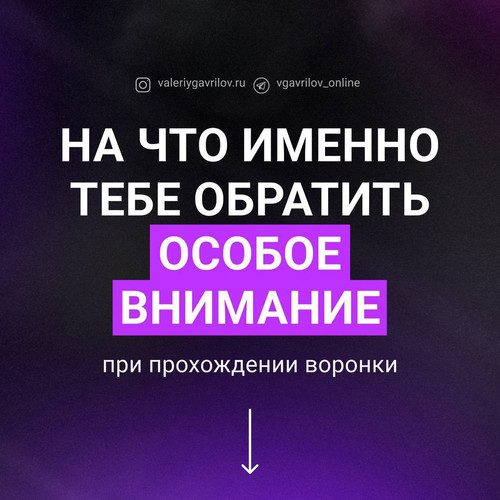 1726393081 2005153834.jpg