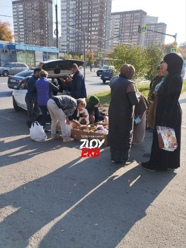 J9FUIhVOJwuw K2BJ68CYf8o5tVf Wnq0 I0ad77CcfpLBrhWkDV 0JBoclctNnh67cT7miffrXYoKyeIVfkhl2dkX XCaEs1d E.jpg