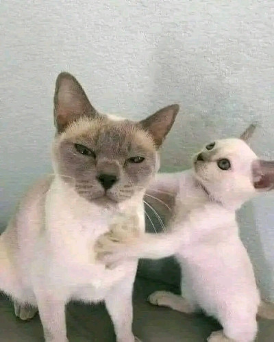 undefined.jpg