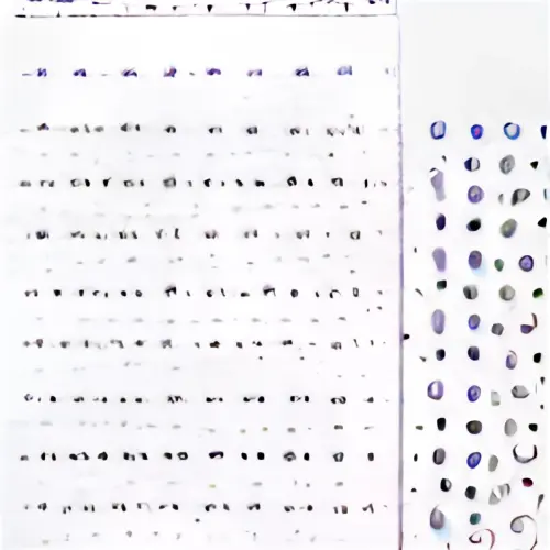 66730298955886746192970195826.webp