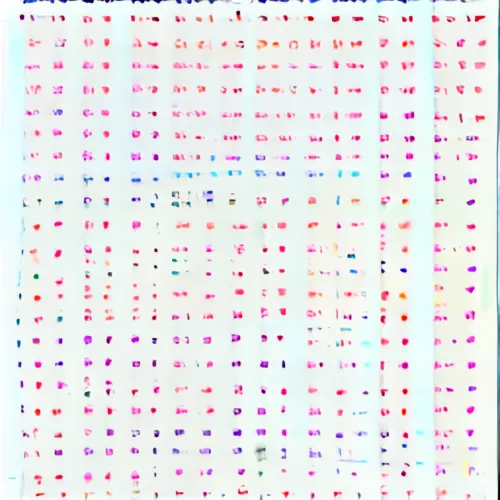 57976349923230311643286273998541.webp
