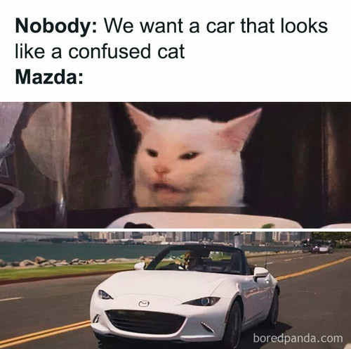 funny cars memes pics 56 66debaae2f1d5 700.jpg