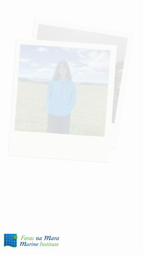 Cr6iDV0TwYLW3Mv1.jpg