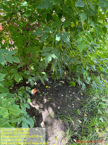 ima 0843215.jpg