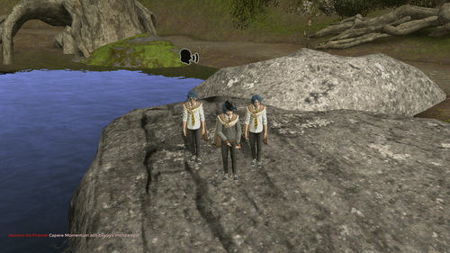 8897eed5ad9d.png