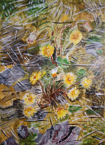 1726346060 1309577455.jpg