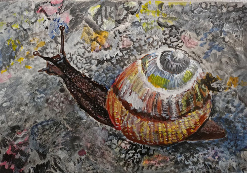 1726346066 222239754.jpg