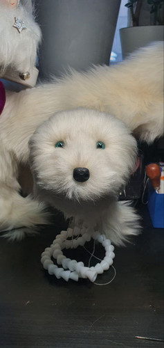 1726323253 1539627563.jpg