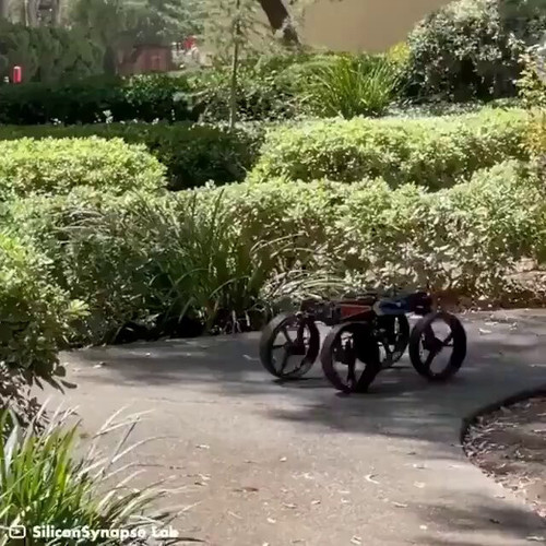 pN HAlx X tmCGR0.jpg