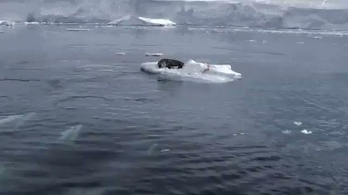 hwof5lX wQG2GQXS.jpg