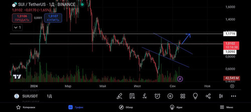 1726321539 539563393.jpg