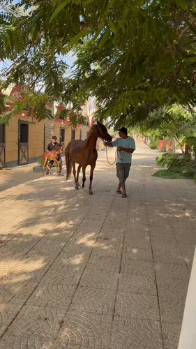 Vfc8IbuR3D7DmFA .jpg