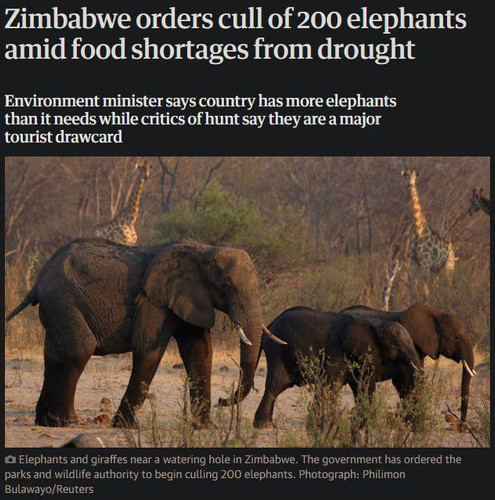 C12n7SjxsEL 2YoYNCQOo9glTjFh cmyRFnvNDN5oDUZgG JP6z2x0kGTcU6aDjcPzZecyfl8shLE2drd5HknV5uLzxSzEsUH5Lo.jpg