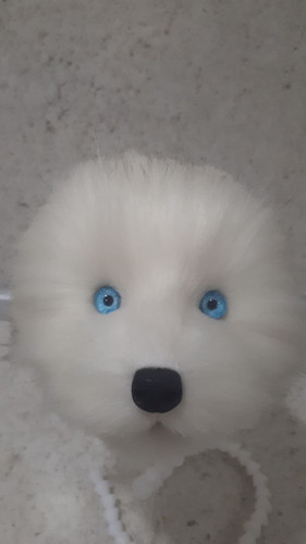 1726325753 1777527745.jpg