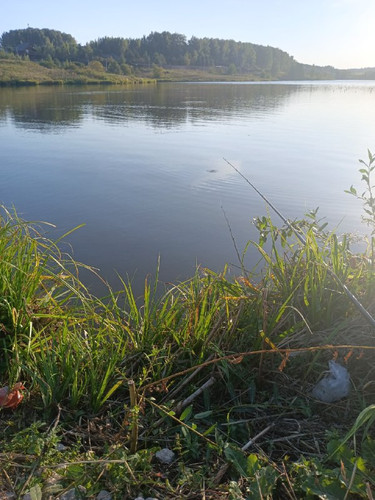 V kqqvg2PHwXgzTZK5g4PhJEeTAl0xDYpbkCDejEchcdLNufKOUBW5F5j3mbLLIt j8RynRc uuNZpZFVRqEk2MMAq0LvzsTDkR4.jpg