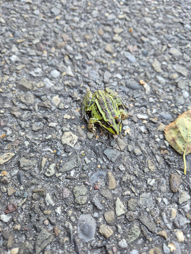 WhatsApp Image 2024 09 13 at 17.42.12.jpg