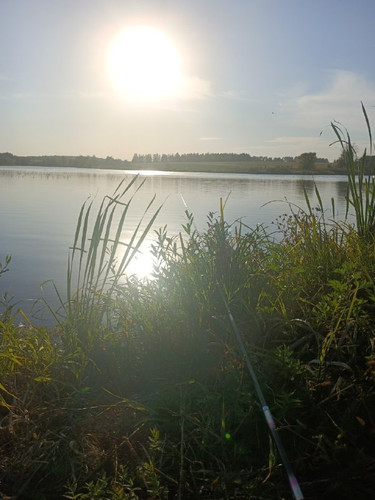 Y1X FeY2wzr67hRtQZRn5n3DK Qo6HybfmlvTAij32eDB WHf4MfwlitaBYftdspBtVDiMcvSZkg6Lo2i qrSEle4zJWrWTKipT7.jpg