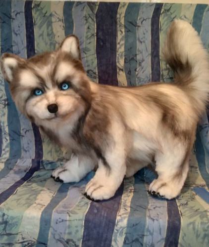 1726325891 1283368312.jpg