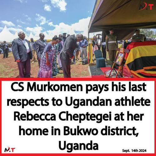 459492857 1134646414694225 3739597961537141879 n.jpg?stp=dst jpg p526x296& nc cat=102&ccb=1 7& nc si.jpg