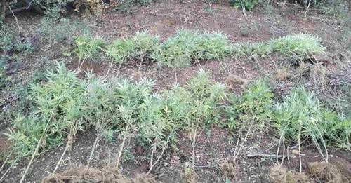 18301578975234225359?url=https%3A%2F%2Fmedia.oranews.tv%2Foranews.tv%2Fmedia3%2F 1200 630 c7e55089fe.jpg