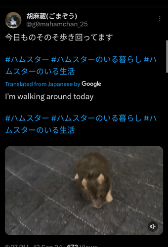1000024002.png