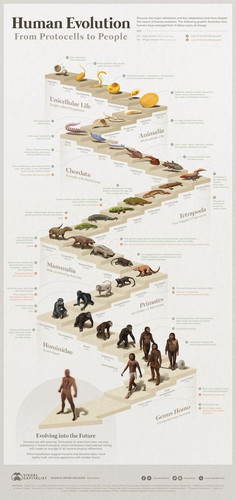 GXZoQsuXkAA8hmR?format=jpg.jpg