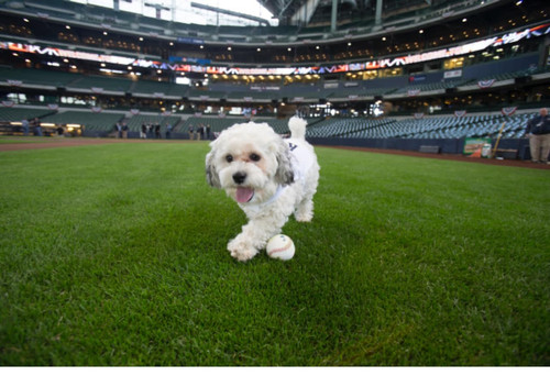 459368880 8396203960416674 4310851999135000105 n.jpg