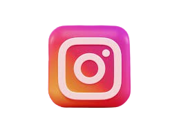 ins removebg preview.png