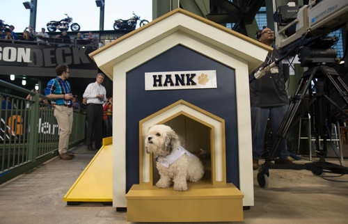 459565023 8396203983750005 1041317149028232133 n.jpg