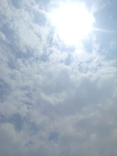 IMG 20240501 122557.jpg