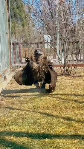 VBLj88 kCUvW3ClK.jpg