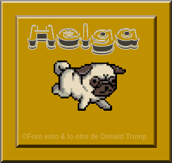 172640189653321598 (5).gif