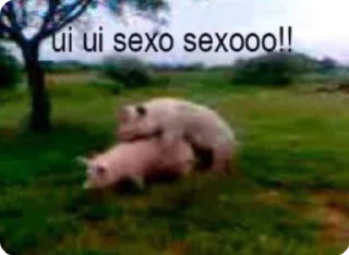 1726403636 994643494.webp
