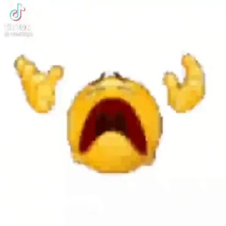 1726403625 1125016489.webp