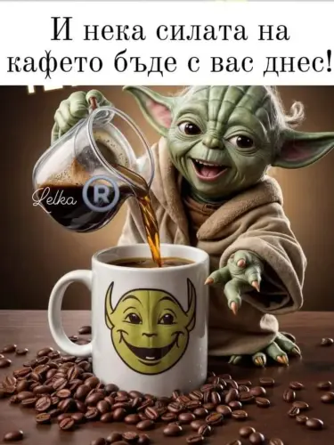 IMG 5e419dc925d8d50377aae457af5030c9 V.webp