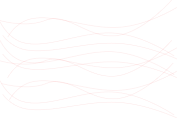 Frame 427319202 (1).png