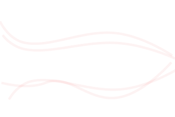 Frame 427319202 (3).png