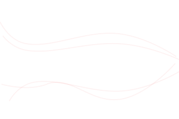 Frame 427319202 (2).png