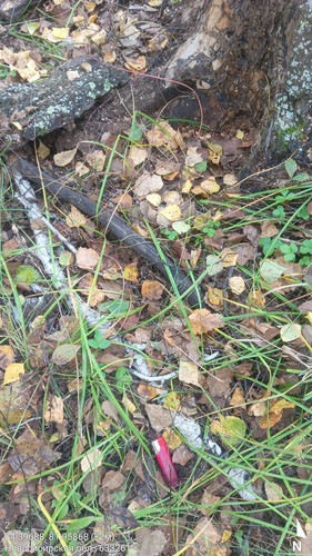 2 341° 111м 54.39688, 81.95868 (±2м) 14092024 114137.jpg