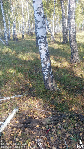 8 324° 115м 54.39746, 81.958 (±2м) 14092024 115212.jpg