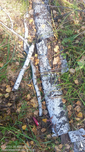 4 2° 115м 54.39721, 81.95816 (±3м) 14092024 114518.jpg